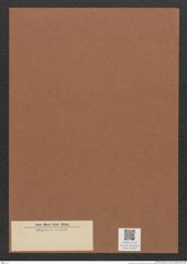 Diatomeae indet. Zeichnungen Sammlung Grunow Mappe 03449 (Herbarium_W_Grunow_drawings_Folder_03449)